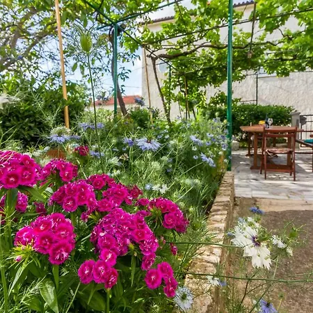 Three-bedroom Meden * Pomer